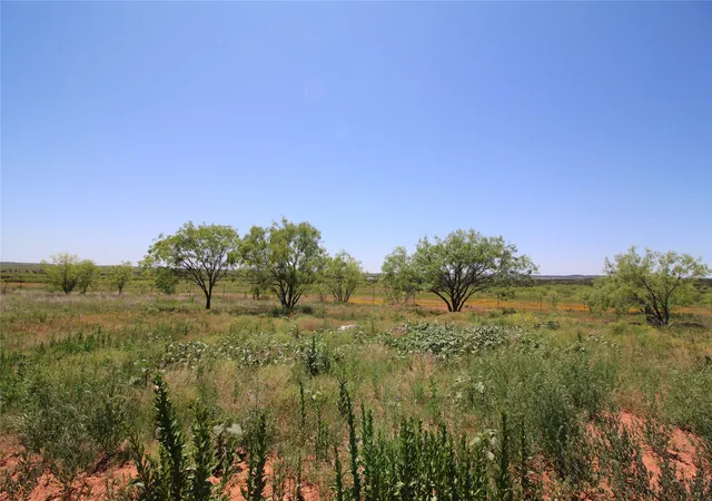Homes for sale in Tuscola, TX | Lot 6 Marshal Trl, Tuscola, TX 79562 | MLS# 20310594