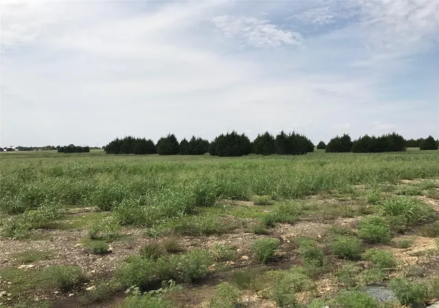 Homes for sale in Midlothian, TX | 5211 Bravo Rd, Midlothian, TX 76065 | MLS# 20313112