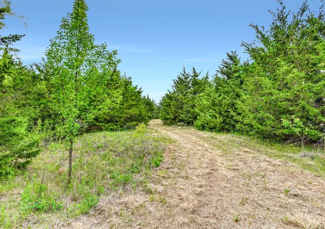 Homes for sale in Tioga, TX | Tbd Airport Rd, Tioga, TX 76271 | MLS# 20319472