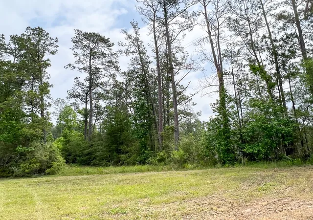 Photo 3 of Land for sale at 00 Fm 2937/old Arco Road, Silsbee, TX 77656 | MLS# 20331415 | Listing updated on 2026-09-28