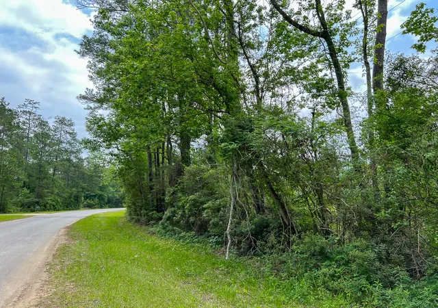 Homes for sale in Silsbee, TX | 00 Fm 2937/old Arco Road, Silsbee, TX 77656 | MLS# 20331415