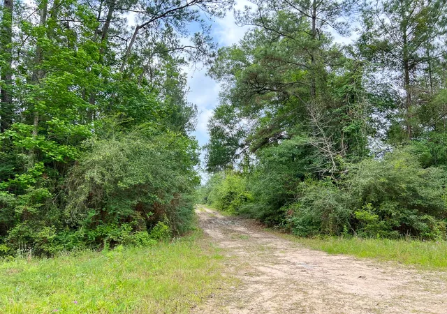 Homes for sale in Silsbee, TX | 013 Old Arco Rd, Silsbee, TX 77656 | MLS# 20331453