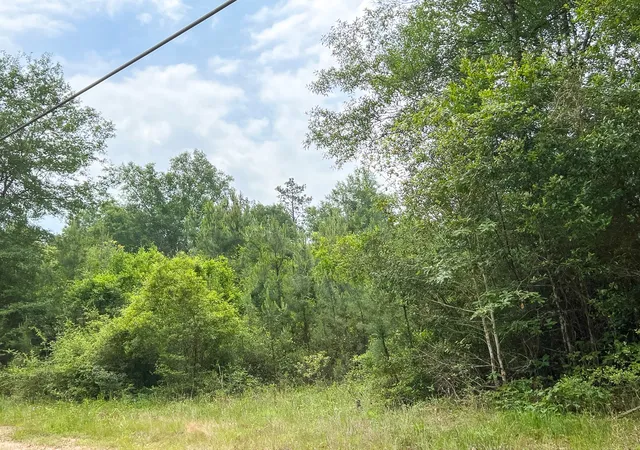 Homes for sale in Silsbee, TX | 013 Old Arco Rd, Silsbee, TX 77656 | MLS# 20331453