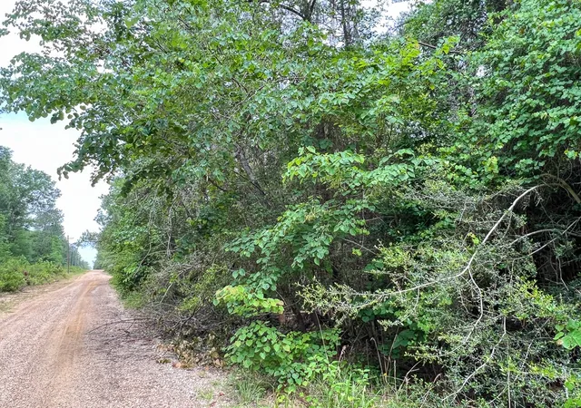 4th image of 013 Old Arco Rd, Silsbee, TX 77656 | MLS# 20331453