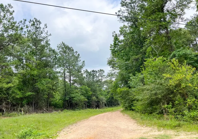 5th image of 013 Old Arco Rd, Silsbee, TX 77656 | MLS# 20331453