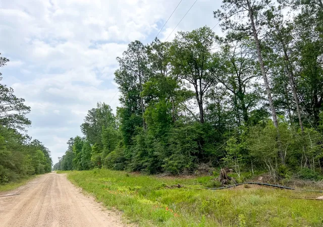 Homes for sale in Silsbee, TX | 013 Old Arco Rd, Silsbee, TX 77656 | MLS# 20331453
