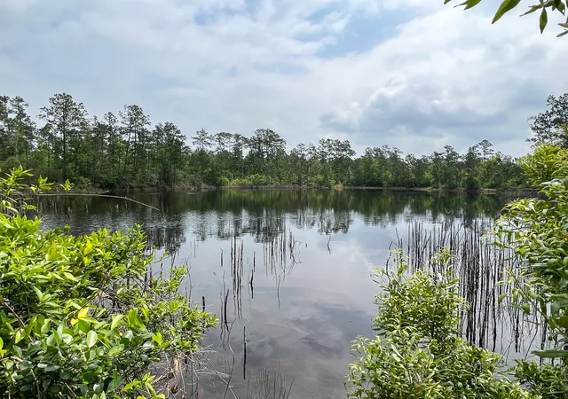 Homes for sale in Silsbee, TX | 000 Fm 2937/old Arco Road, Silsbee, TX 77656 | MLS# 20331460