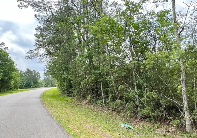 Homes for sale in Silsbee, TX | 000 Fm 2937/Old Arco Road, Silsbee, TX 77656 | MLS# 20331460