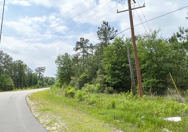 Homes for sale in Silsbee, TX | 000 Fm 2937/Old Arco Road, Silsbee, TX 77656 | MLS# 20331460