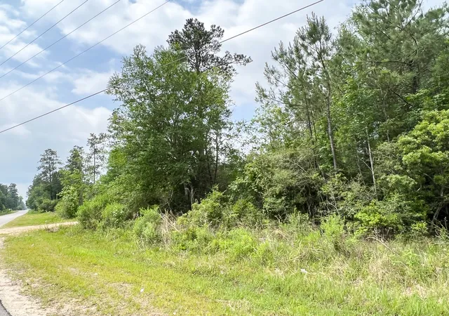 Homes for sale in Silsbee, TX | 000 Fm 2937/Old Arco Road, Silsbee, TX 77656 | MLS# 20331460