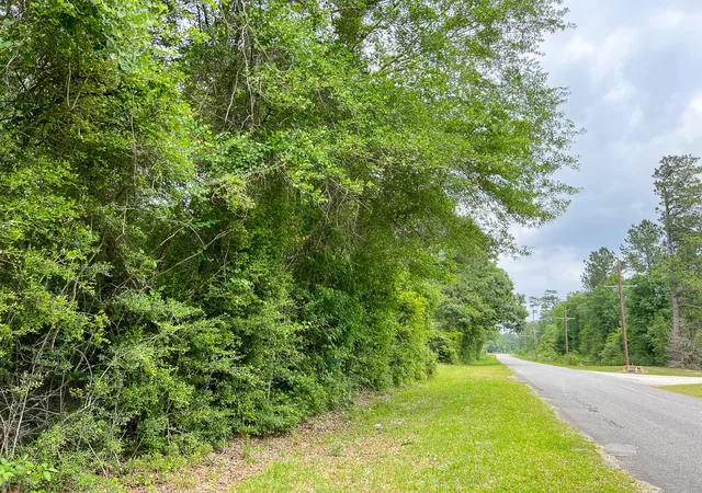 Homes for sale in Silsbee, TX | 000 Fm 2937/old Arco Road, Silsbee, TX 77656 | MLS# 20331460