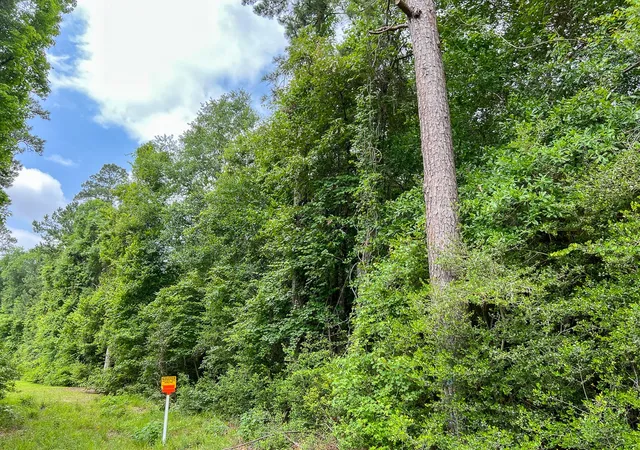 Homes for sale in Silsbee, TX | 0000 Fm 2937/old Arco Road, Silsbee, TX 77656 | MLS# 20331522