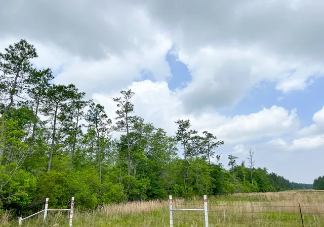 Homes for sale in Silsbee, TX | 0000 Cravens Camp Rd, Silsbee, TX 77656 | MLS# 20331641