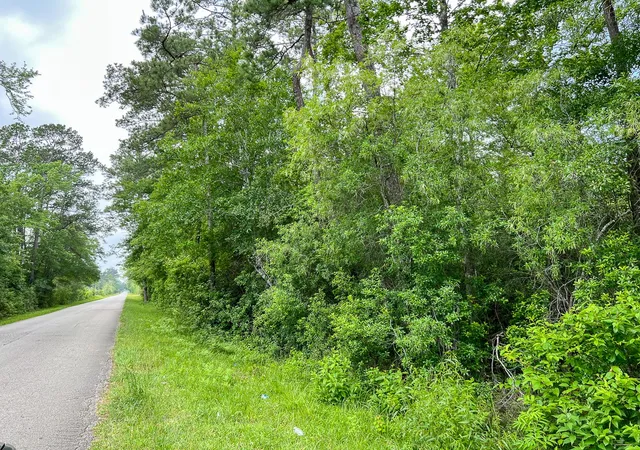 Homes for sale in Silsbee, TX | 000000 Cravens Camp Rd, Silsbee, TX 77656 | MLS# 20332035