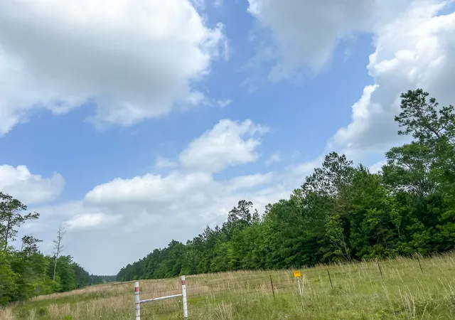 Homes for sale in Silsbee, TX | 000000 Cravens Camp Rd, Silsbee, TX 77656 | MLS# 20332035
