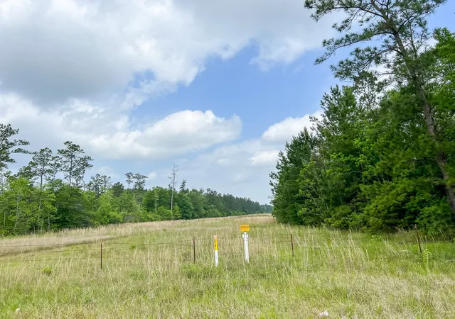 Homes for sale in Silsbee, TX | 000000 Cravens Camp Rd, Silsbee, TX 77656 | MLS# 20332035
