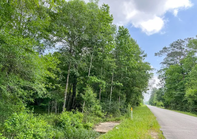 Homes for sale in Silsbee, TX | 000000 Cravens Camp Rd, Silsbee, TX 77656 | MLS# 20332035