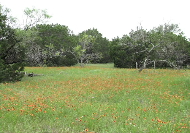 Homes for sale in Evant, TX | Tbd Lot 41 Pr 42107, Evant, TX 76525 | MLS# 20342603