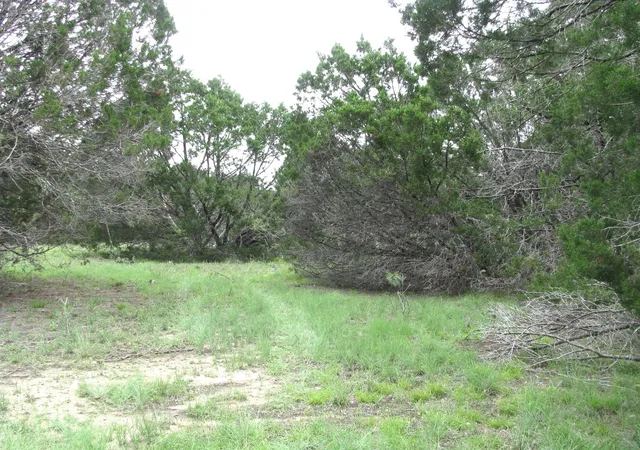 Homes for sale in Evant, TX | Tbd-Lot 41 Pr 42107, Evant, TX 76525 | MLS# 20342603