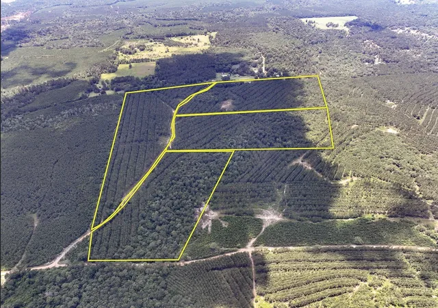 Photo 1 of Land for sale at 00 County Road 1325, Woodville, TX 75979 | MLS# 20360560 | Listing updated on 2026-06-08