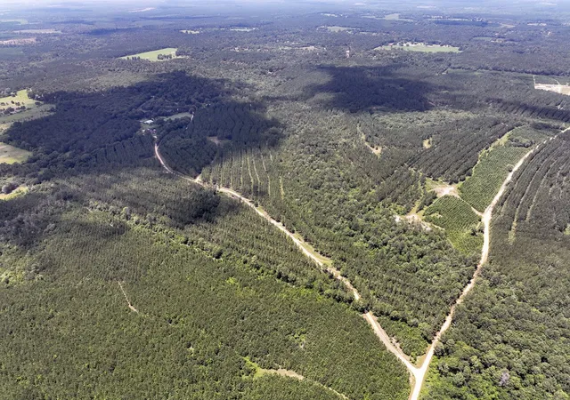 Photo 3 of Land for sale at 00 County Road 1325, Woodville, TX 75979 | MLS# 20360560 | Listing updated on 2026-06-08