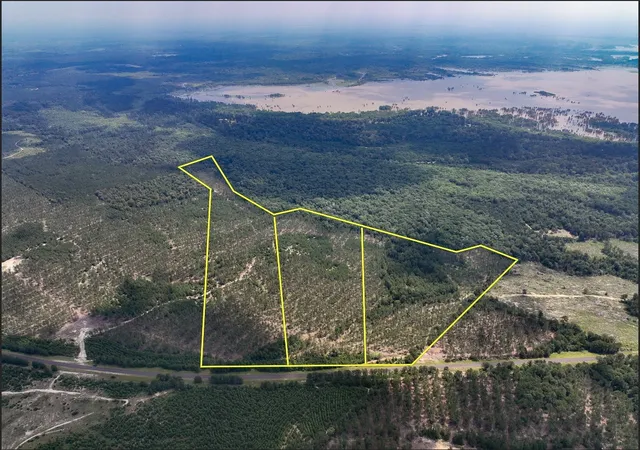 Homes for sale in Colmesneil, TX | 000 Fm 92, Colmesneil, TX 75938 | MLS# 20360798