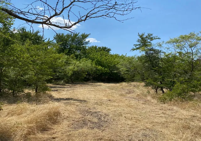 Homes for sale in Prairie Hill, TX | W Hwy 84, Prairie Hill, TX 76678 | MLS# 20386342