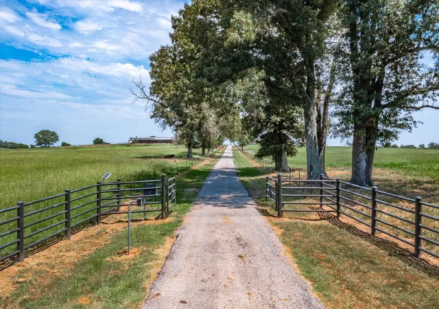 Photo 2 of Land for sale at 9208 Fm 17, Grand Saline, TX 75140 | MLS# 20396080 | Listing updated on 2026-09-28