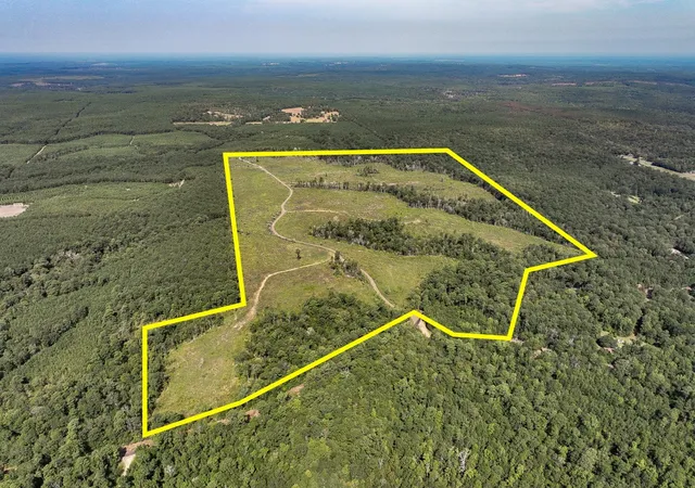 Photo 1 of Land for sale at 1 County Road 3725, Colmesneil, TX 75938 | MLS# 20397621 | Listing updated on 2026-07-21