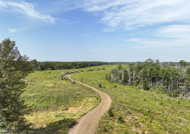 Photo 2 of Land for sale at 1 County Road 3725, Colmesneil, TX 75938 | MLS# 20397621 | Listing updated on 2026-07-21