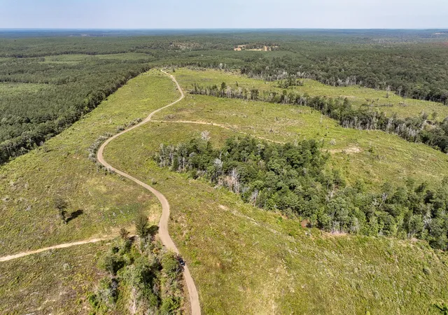 Photo 3 of Land for sale at 1 County Road 3725, Colmesneil, TX 75938 | MLS# 20397621 | Listing updated on 2026-07-21