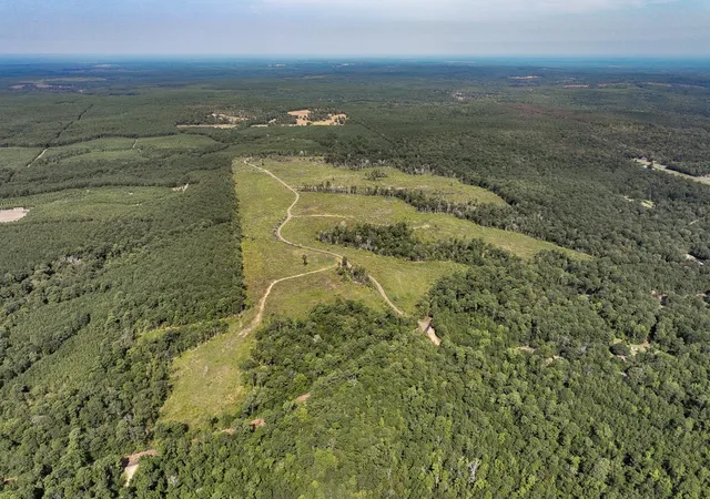Photo 3 of Land for sale at 1 County Road 3725, Colmesneil, TX 75938 | MLS# 20397621 | Listing updated on 2026-07-21