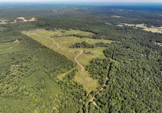 Photo 4 of Land for sale at 1 County Road 3725, Colmesneil, TX 75938 | MLS# 20397621 | Listing updated on 2026-07-21