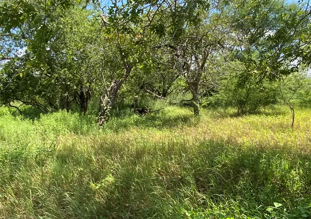 Homes for sale in Sinton, TX | 14135 County Road 1144, Sinton, TX 78387 | MLS# 20403977