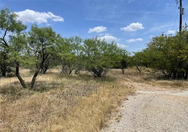 Homes for sale in Breckenridge, TX | Tbd Cr 316 Rd, Breckenridge, TX 76424 | MLS# 20407030