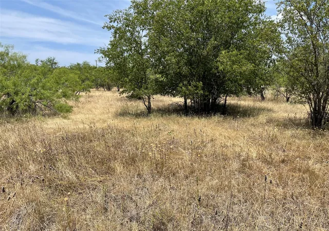 Homes for sale in Breckenridge, TX | Tbd Cr 316 Rd, Breckenridge, TX 76424 | MLS# 20407030