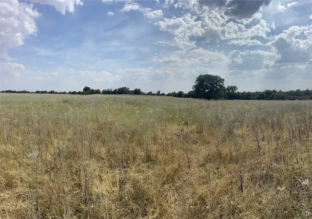 Homes for sale in Anson, TX | Lot 8 Blue Lacy Lane, Anson, TX 79501 | MLS# 20416449