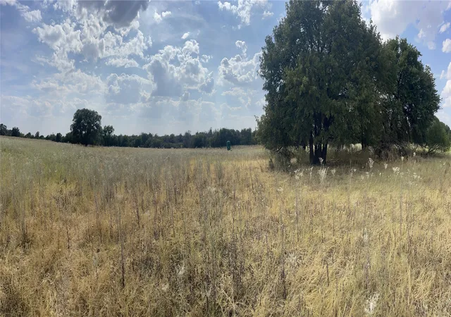 Homes for sale in Anson, TX | Lot 8 Blue Lacy Lane, Anson, TX 79501 | MLS# 20416449