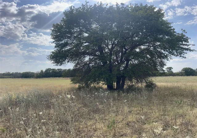 Homes for sale in Anson, TX | Lot 8 Blue Lacy Lane, Anson, TX 79501 | MLS# 20416449