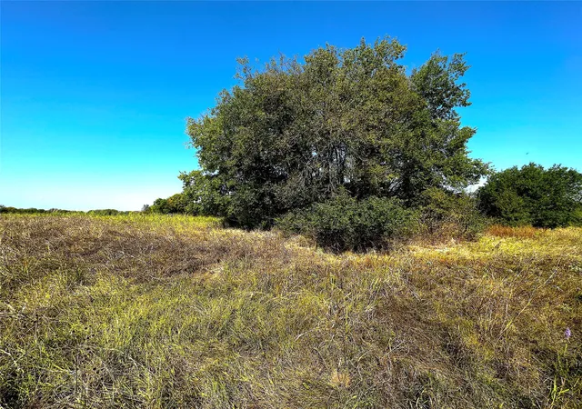 Homes for sale in Point, TX | 0 Choctaw Trl, Point, TX 75472 | MLS# 20436290