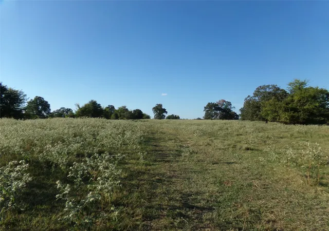Photo 1 of Land for sale at 1753 Fm 194, Blossom, TX 75416 | MLS# 20444070 | Listing updated on 2026-09-16