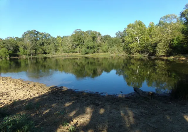 Photo 2 of Land for sale at 1753 Fm 194, Blossom, TX 75416 | MLS# 20444070 | Listing updated on 2026-09-16