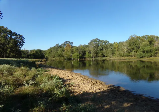 Photo 3 of Land for sale at 1753 Fm 194, Blossom, TX 75416 | MLS# 20444070 | Listing updated on 2026-09-16