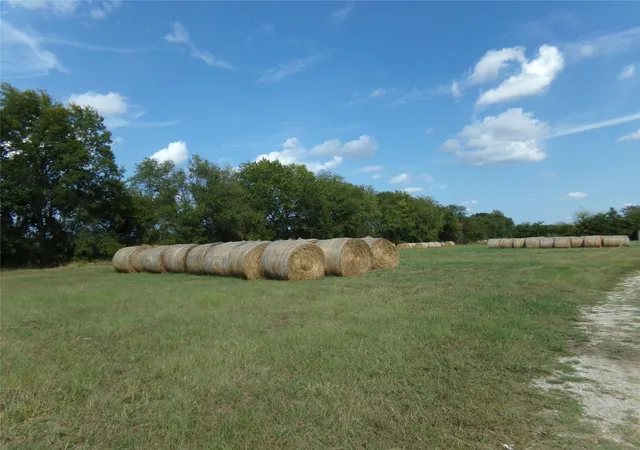 Photo 3 of House for sale at 1753 Fm 194, Blossom, TX 75416 | MLS# 20444070 | Listing updated on 2026-09-16