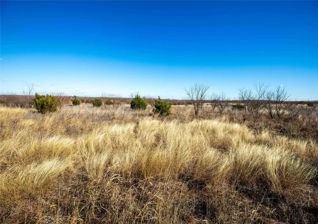Homes for sale in Tuscola, TX | Tbd Cr 250, Tuscola, TX 79562 | MLS# 20446621