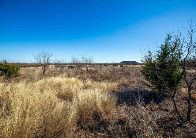 Homes for sale in Tuscola, TX | Tbd Cr 250, Tuscola, TX 79562 | MLS# 20446621