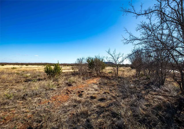 Homes for sale in Tuscola, TX | Tbd Cr 250, Tuscola, TX 79562 | MLS# 20446621