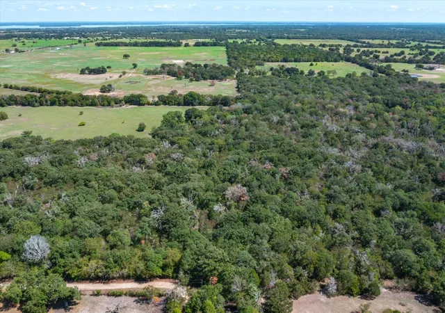 Photo 4 of Land for sale at Tract 6 Cr 4048, Kemp, TX 75143 | MLS# 20445569 | Listing updated on 2026-09-02