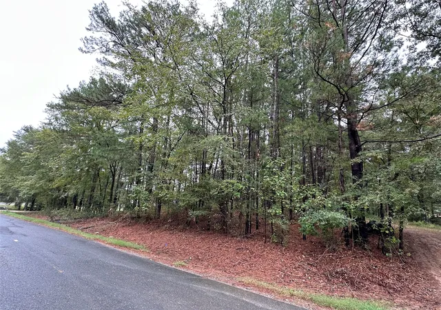 Photo 2 of Land for sale at 0 Downs Dr, Benton, LA 71006 | MLS# 20447882 | Listing updated on 2026-08-26