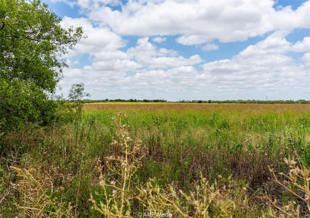Homes for sale in Hawley, TX | Tbd 2 Fm 1082, Hawley, TX 79525 | MLS# 20448983